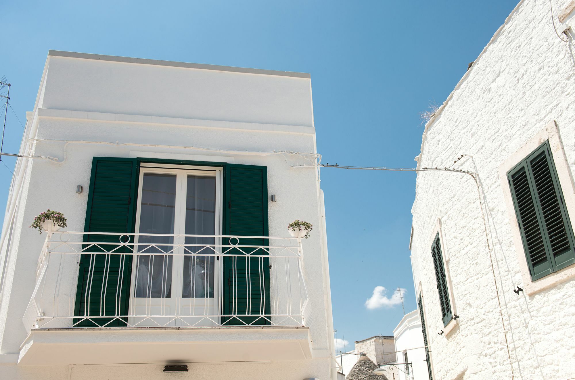 Driade Dei Trulli 알베르벨로 외부 사진